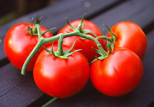 Logan-Slacks-Creek-Springwood-Qld-Red-Tomatoes